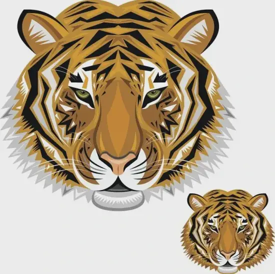 生肖寅时养生要点