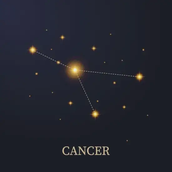 属兔和什么属相相冲相克相害:兔最忌讳的三个属相 属兔和什么属相相冲相克相害:兔最忌讳的三个属相