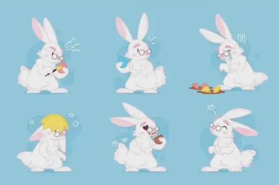 生肖兔短尾进化优势