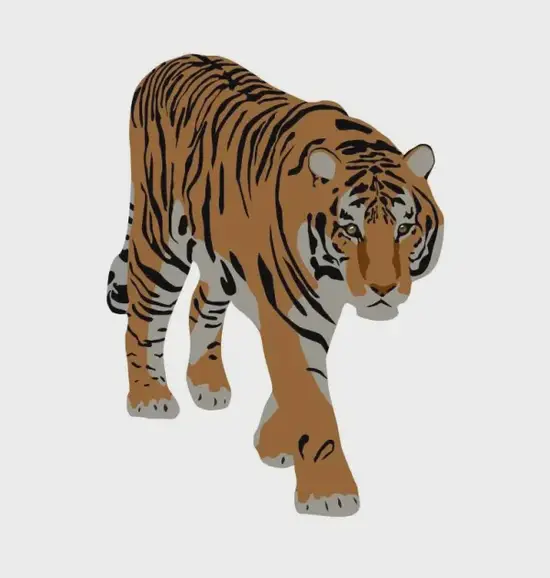 生肖虎今日麻将方位