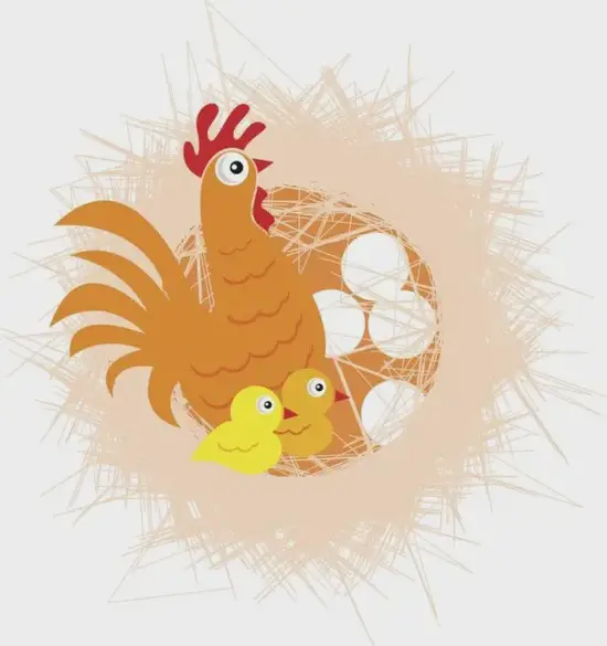 生肖鸡全年健康防护指南 2025鸡年健康运势