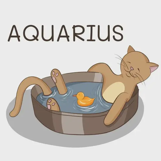 水瓶座思维模式解读