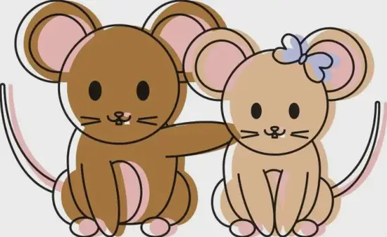 生肖鼠五行特征