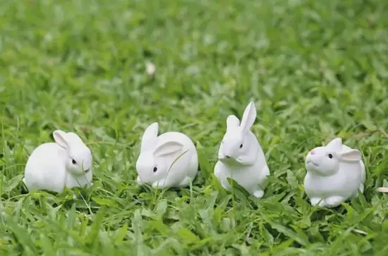 属兔2026年风水布局