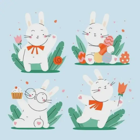 生肖兔贵人运分析