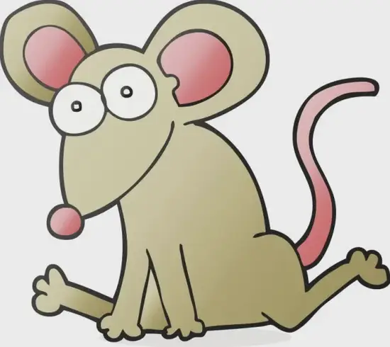 生肖鼠今日财运方位