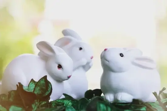 卯时生肖兔时辰解读