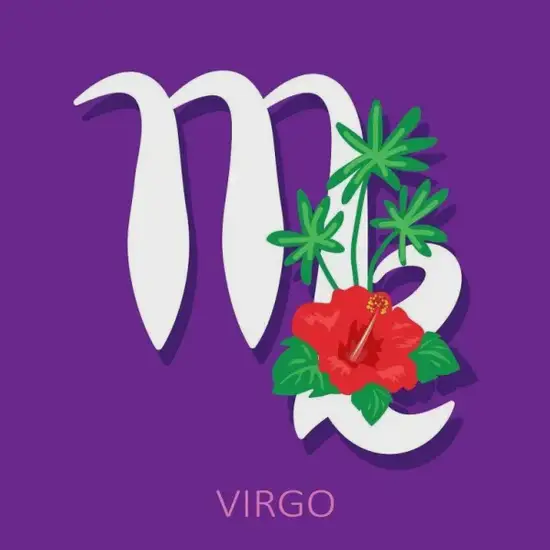 处女座生活习惯