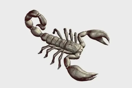 水瓶座天蝎座冷战规律