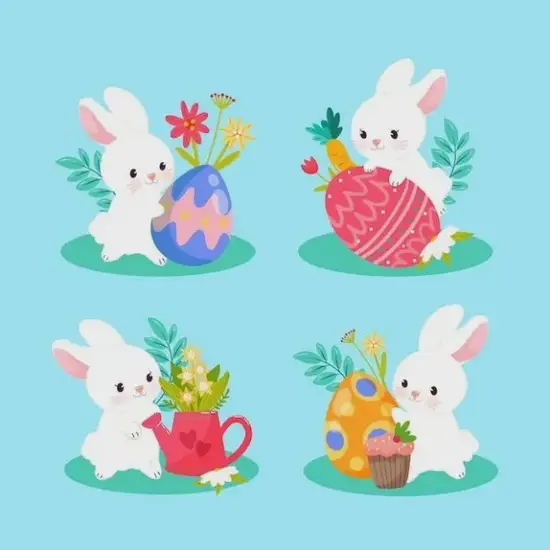 生肖兔财运颜色