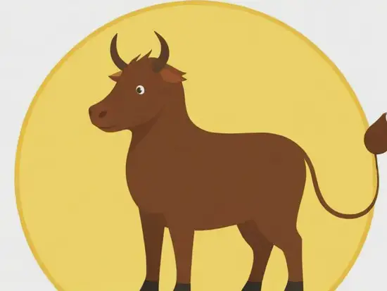 十二生肖健康密码：身体都缺什么营养元素