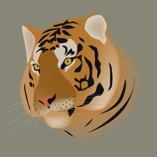 双子座今日运势完整解析：5大关键点助你掌控吉时