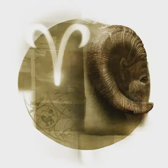 白羊座事业运提升方法