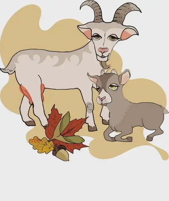 2025年2月9日生肖羊吉位图解 生肖羊财运方位