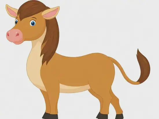 十二生肖健康密码：身体都缺什么营养元素