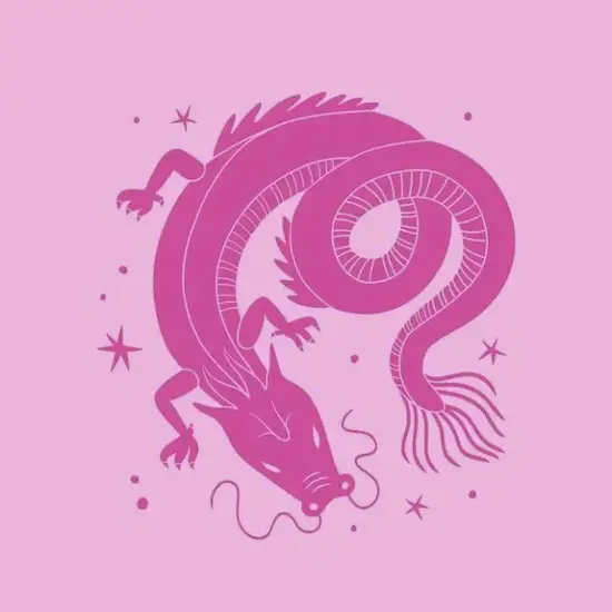 生肖龙2025年偏财方位示意图 生肖龙今日财位实景