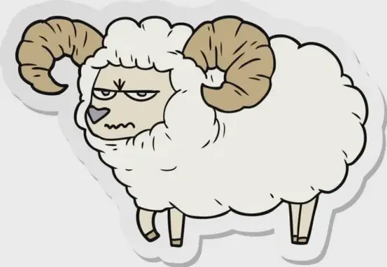 生肖羊2025年健康管理