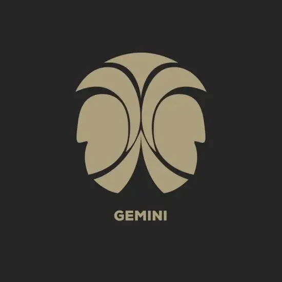 双子座注意力训练图