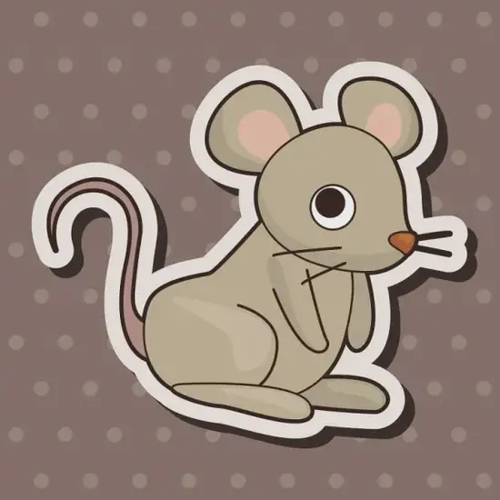 生肖五行运势解析