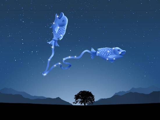 双鱼座今日专属指南