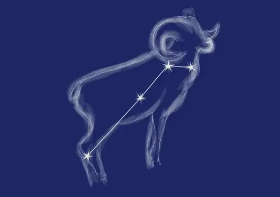 白羊座男生恋爱表现