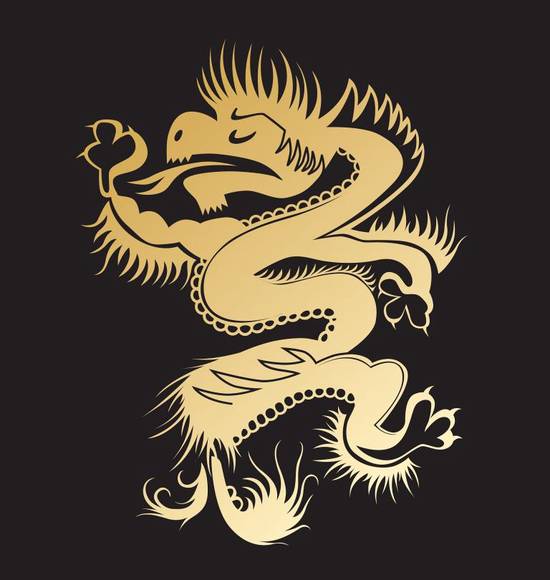 2024年龙年什么龙（ 2024年龙年特点解析）