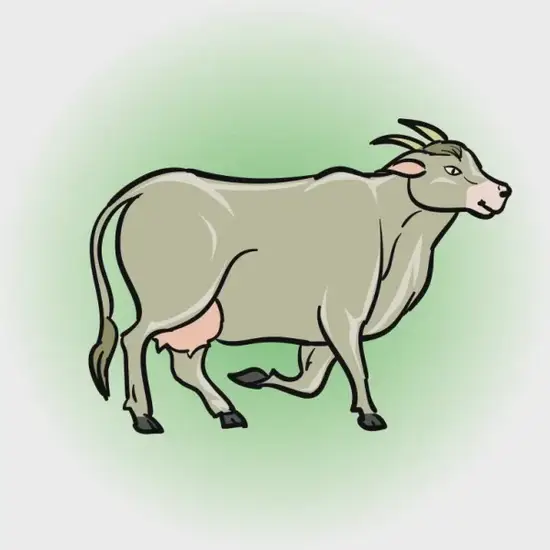 生肖羊今日投资建议