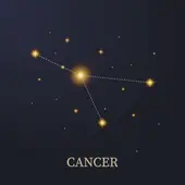 属兔和什么属相相冲相克相害：兔最忌讳的三个属相