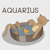 为什么娶妻不娶水瓶女：揭秘三大婚恋真相