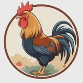 属鸡的今年多大年龄了啊女性：属鸡的今年年龄多大年龄