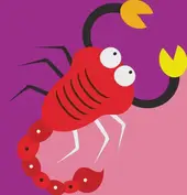 每日星座运势查询美国神婆：今日运势解析与避坑指南