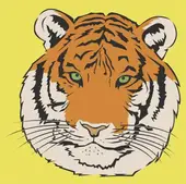 生肖五行速查手册：3分钟看懂命理搭配秘诀