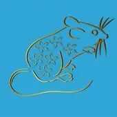 属鼠人今日运势全解析：事业财运提升指南