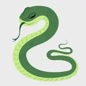 2025年五行属什么命？出生年份运势速查