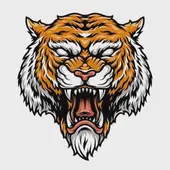 2022年生肖运势全解析：虎年排名与禁忌清单