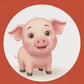 属猪的1959今年多大年龄了：1959年属猪今年多少岁