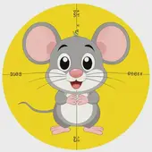 属鼠的都是哪年生人都多大岁数，属鼠人的年龄表