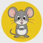 ​七二年鼠五行属什么应取什么名字