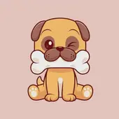 生肖狗2025全年运程解析：必看的三大运势核心点