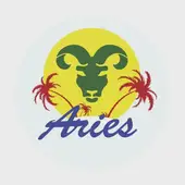 2025白羊座全年运势深度解析：完整版指南