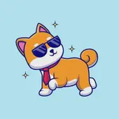 属狗今日财运分析：2月9日招财方位指南