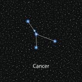 美国神婆今日运势解读：2025年2月7日精准指南