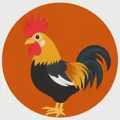 属鸡年龄查询表2025年出生：属猴的年龄表