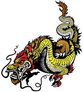 2024年龙年是啥命人（2024年龙年命理解析）