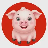 属猪的今年的运势如何2025：属猪的未来几年运势