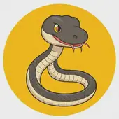 属蛇最配的属相是什么生肖男：属蛇女婚配什么属相最好