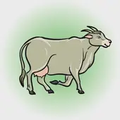 属羊人今日财运解析：君子阁运势指南