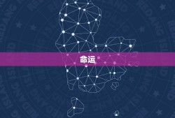 八o年属猴的运势如何(解读属猴人的命运走向)