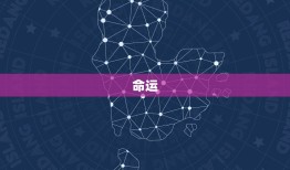 八o年属猴的运势如何(解读属猴人的命运走向)