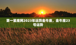 第一星座网2023年运势金牛座，金牛座23号运势